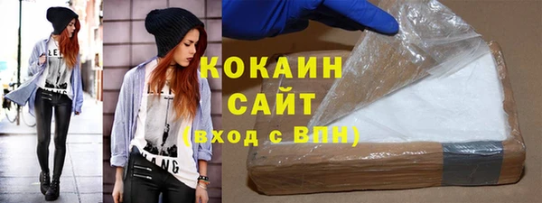 сатива Коряжма