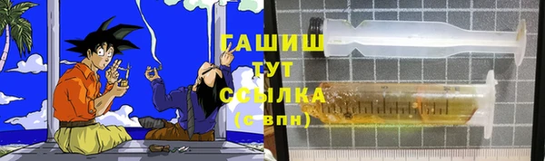 индика Козельск