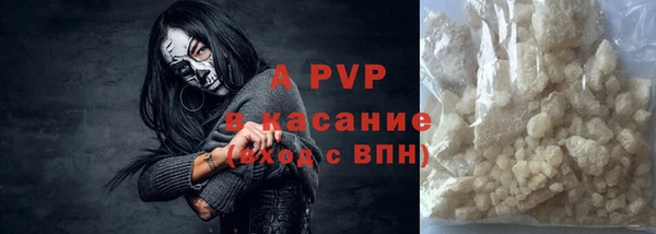 шишки Кодинск