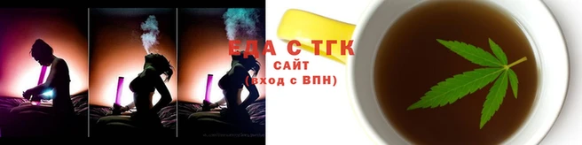сатива Коряжма