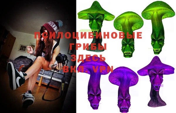 сатива Коряжма
