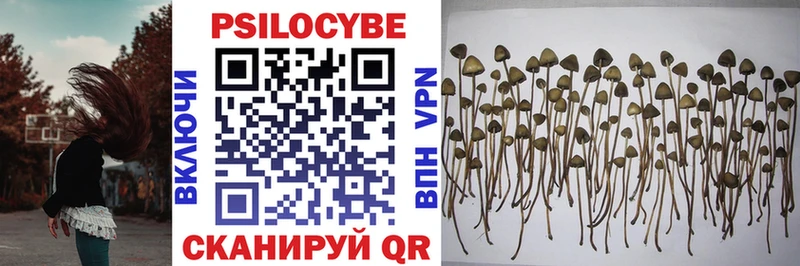 Псилоцибиновые грибы Psilocybe  Микунь 