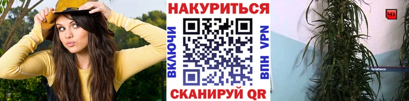 Шишки марихуана планчик  Микунь 